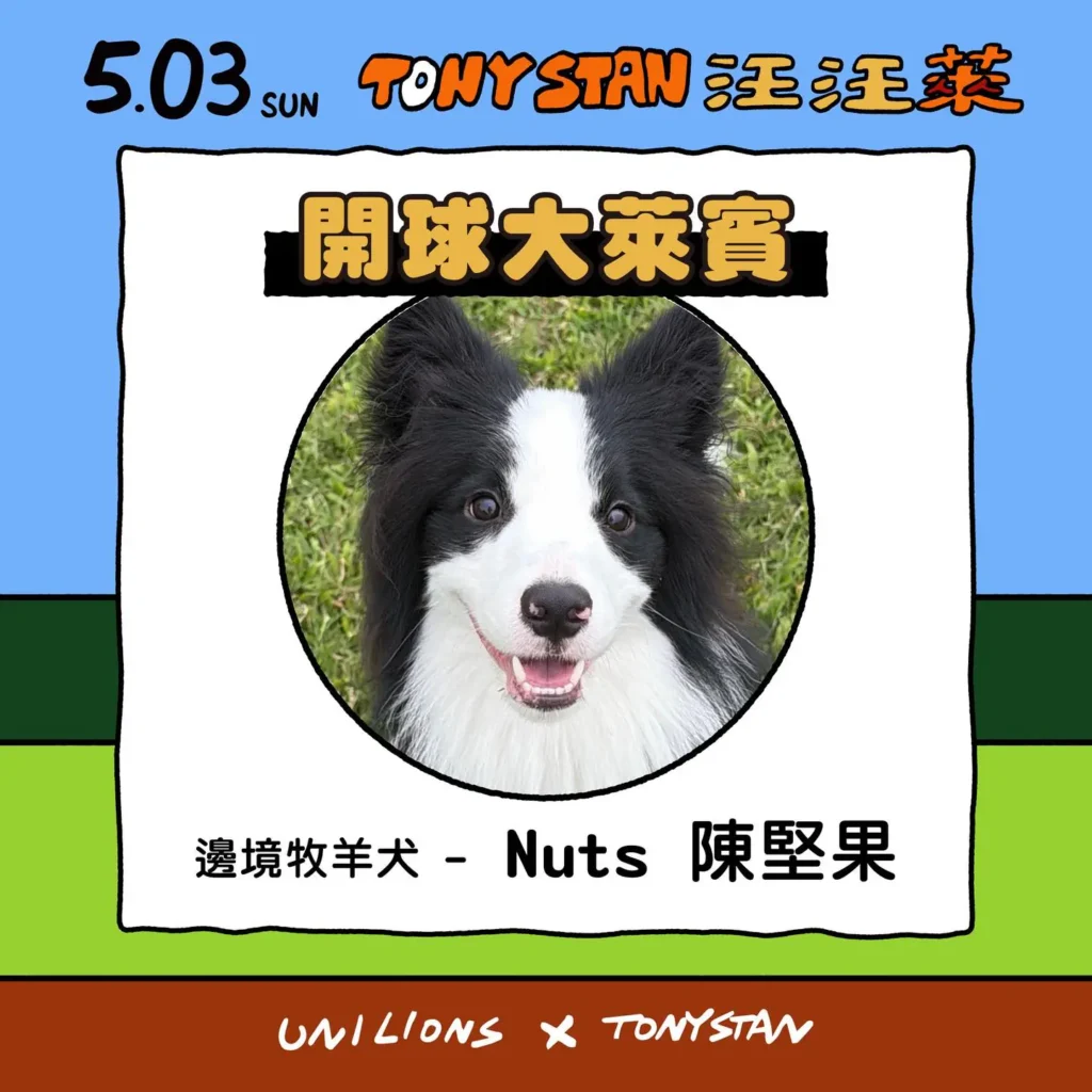 邊境牧羊犬Nuts到場與球迷互動
